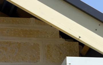 soffit repair Clodock